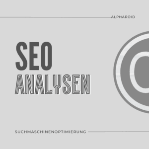 SEO Analysen